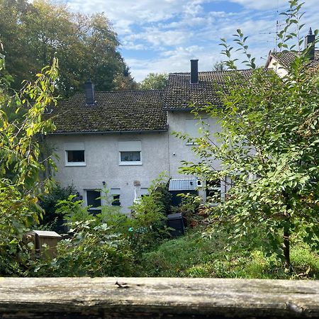 In Saarbruecken Stadtnahe Gemuetliche Wohnung Am Deutsch-Franzoesischen Garten Eksteriør bilde