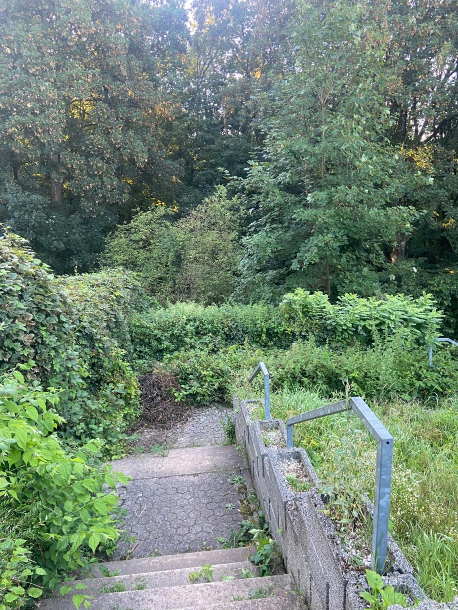 In Saarbruecken Stadtnahe Gemuetliche Wohnung Am Deutsch-Franzoesischen Garten Eksteriør bilde